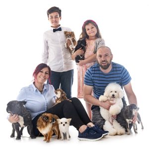 Portal za kucne ljubimce Nasi ljubimci