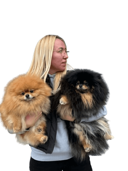 Portal za kucne ljubimce Nasi ljubimci